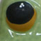 Rana