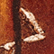 La Soga