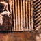 Testigos